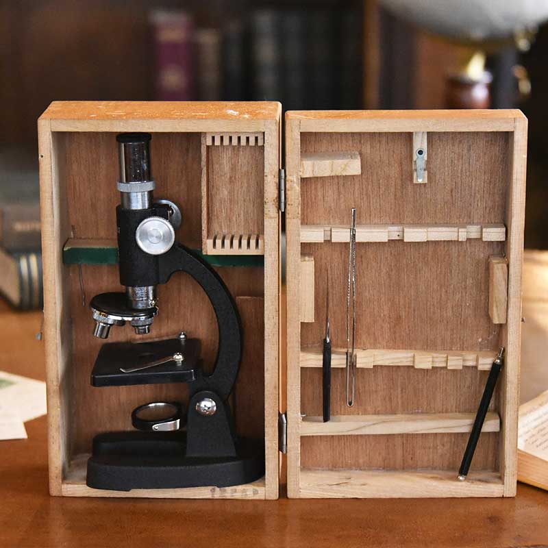 木箱付き 顕微鏡 – 神戸アンティークウェアハウス
